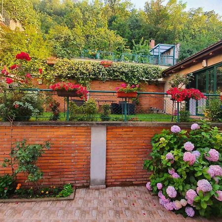 Villa Aya - With Sauna And Outdoor Swimming Pool Mostar Exterior foto